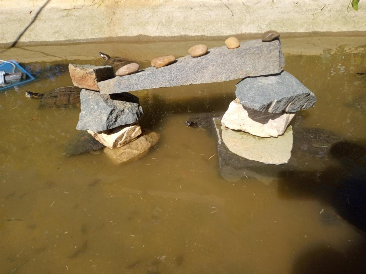 Hostel Santuario De Protecao Animal Filhos De Salomao Bragança Paulista Exterior foto